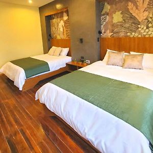 Superior Double Room Two Double Beds